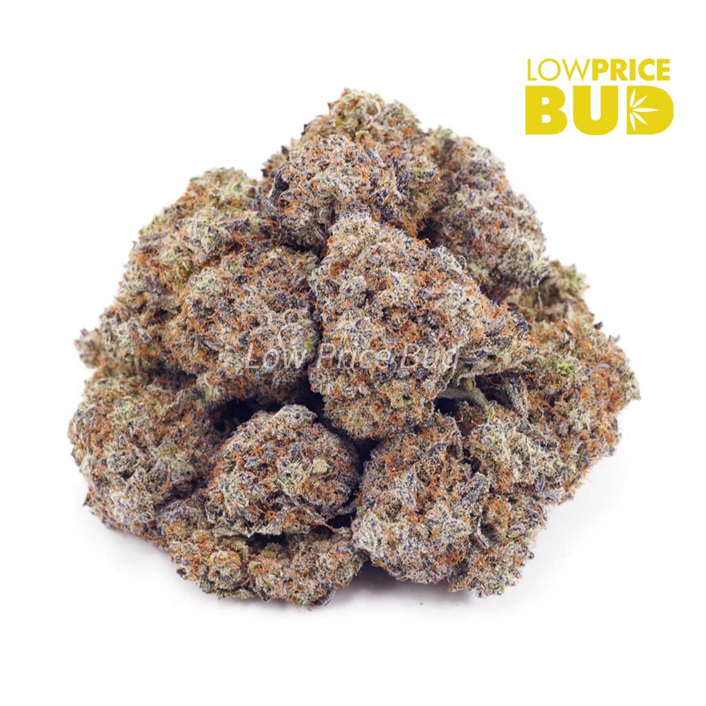 Buy Khalifa Kush (AAAA) online Canada