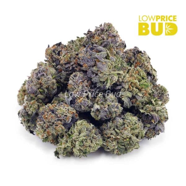 Buy Pink Bubba (AAAA) – Popcorn Nugs online Canada