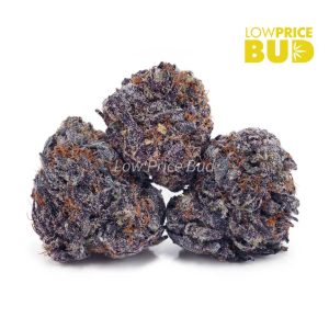 Buy Purple OG (AAAA) online Canada