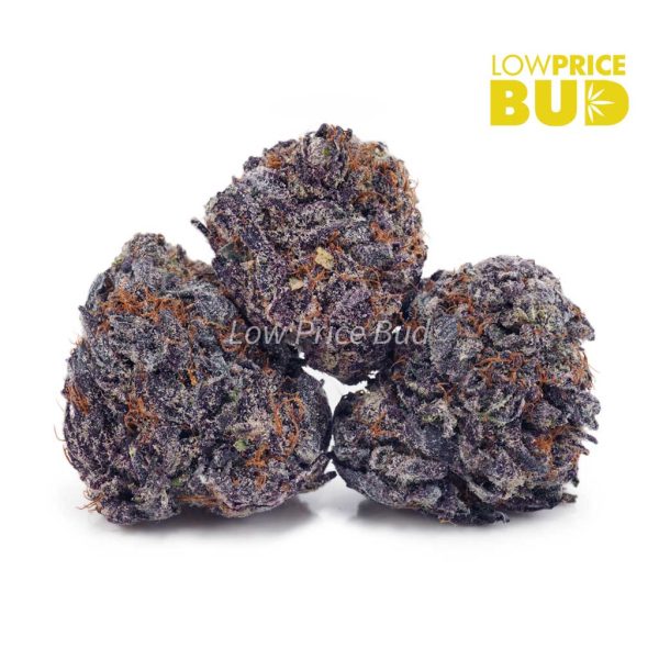 Buy Purple OG (AAAA) online Canada
