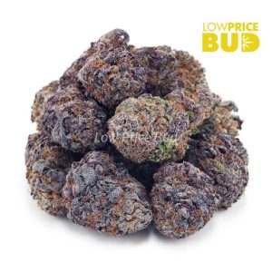 Buy Purple OG (AAAA) online Canada