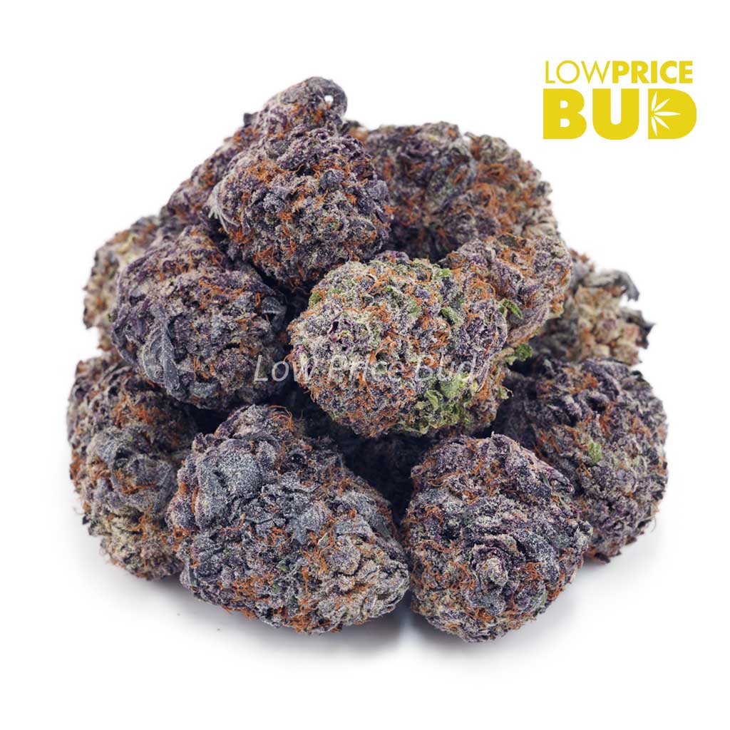 Buy Purple OG (AAAA) online Canada
