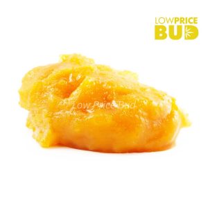 Buy Build Your Own Concentrate Oz 8 x 3.5g online Canada
