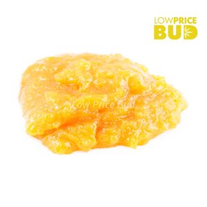 Buy Build Your Own Concentrate Oz 8 x 3.5g online Canada