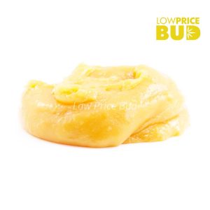 Buy Build Your Own Concentrate Oz 8 x 3.5g online Canada