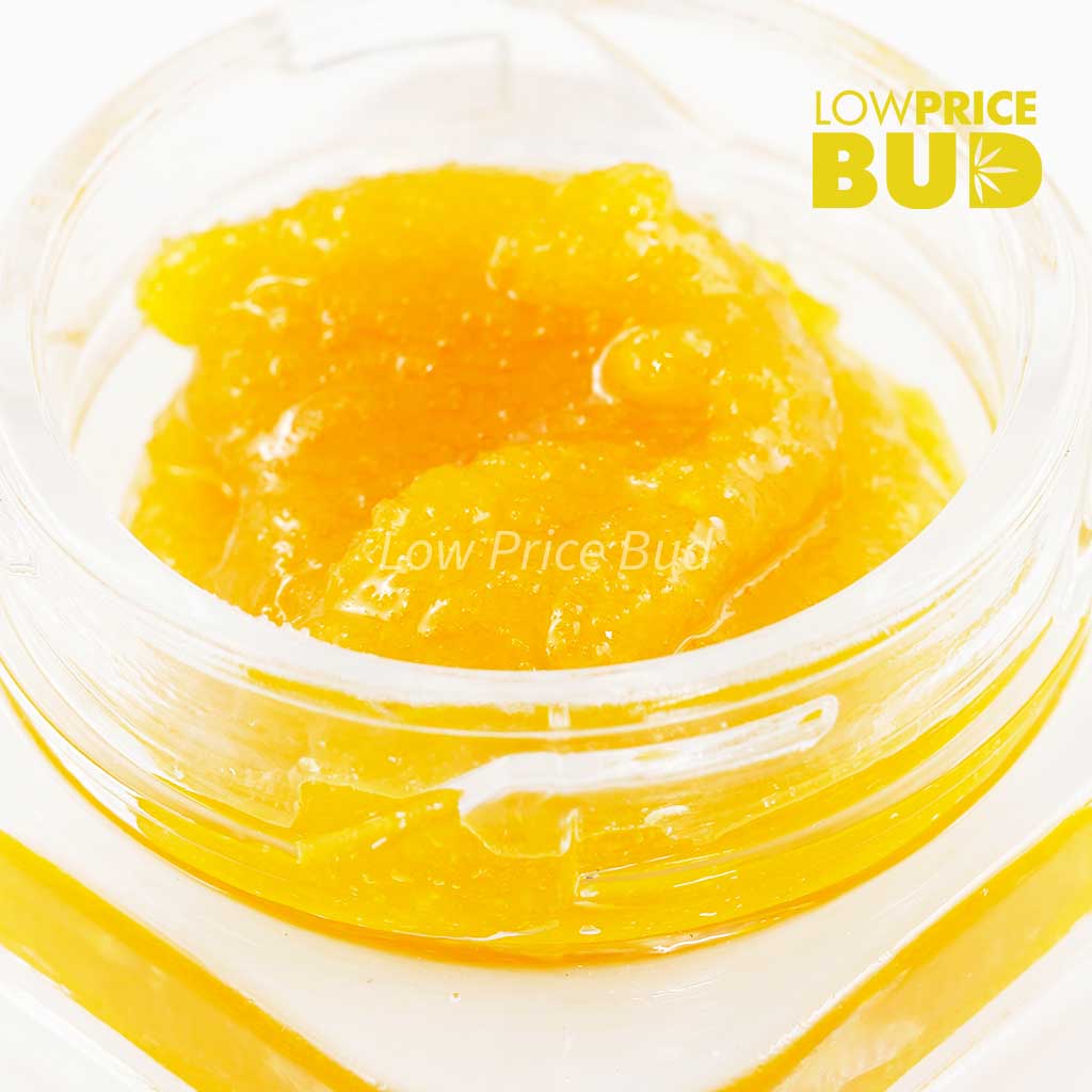 Buy Caviar – El Jefe online Canada