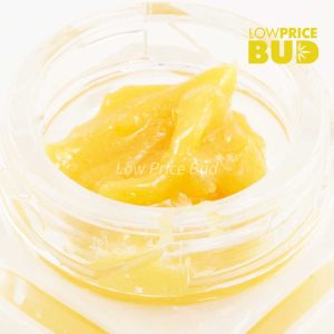 Buy Caviar – Ice Cream Cookies online Canada