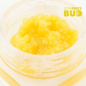 Buy Caviar – Master Yoda online Canada