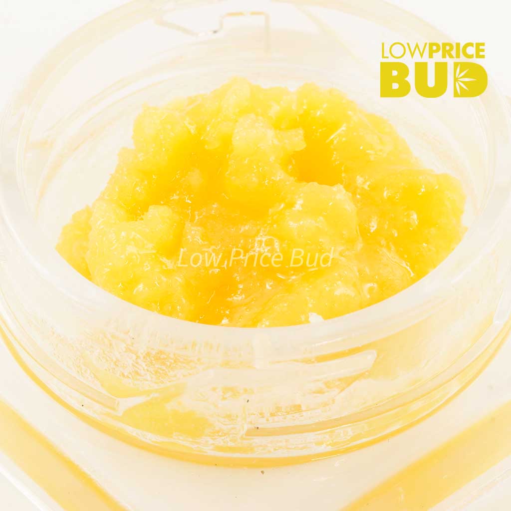 Buy Caviar – Master Yoda online Canada