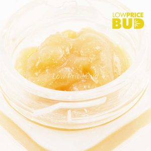 Buy Caviar – Northern Lights online Canada