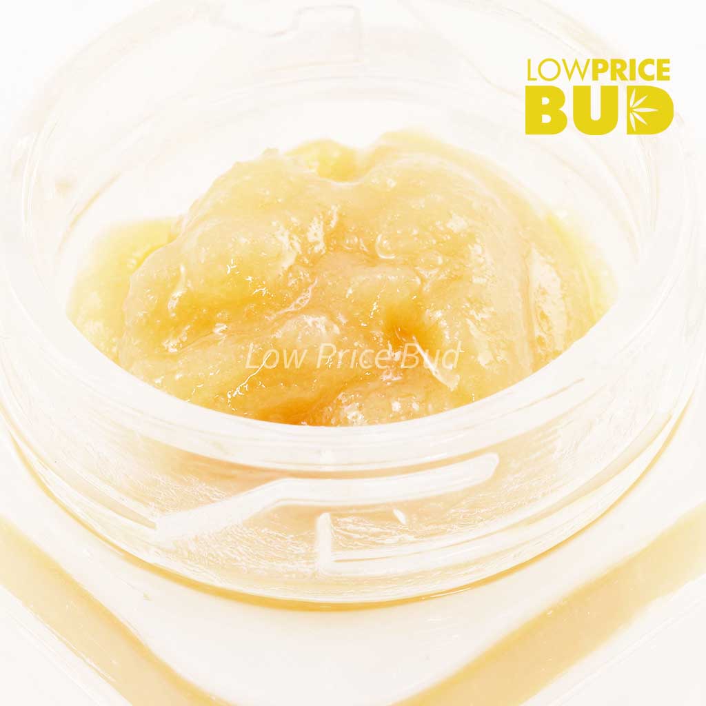 Buy Caviar – Northern Lights online Canada