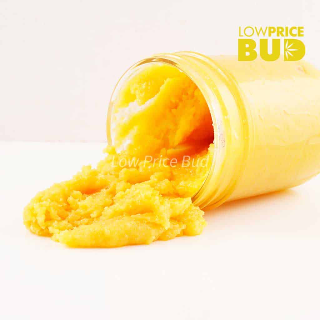 Caviar – Master Yoda Buy Caviar – Master Yoda online Canada