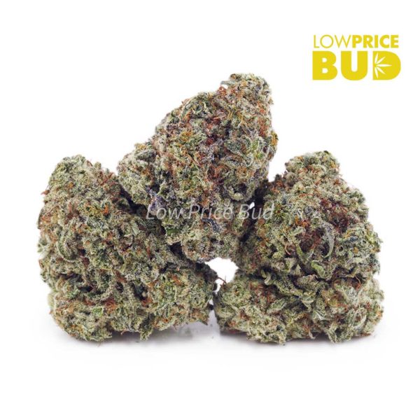 Buy Khalifa Mintz (AAA) online Canada