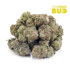 Buy Khalifa Mintz (AAA) online Canada