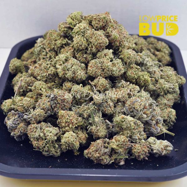 Buy Khalifa Mintz (AAA) online Canada