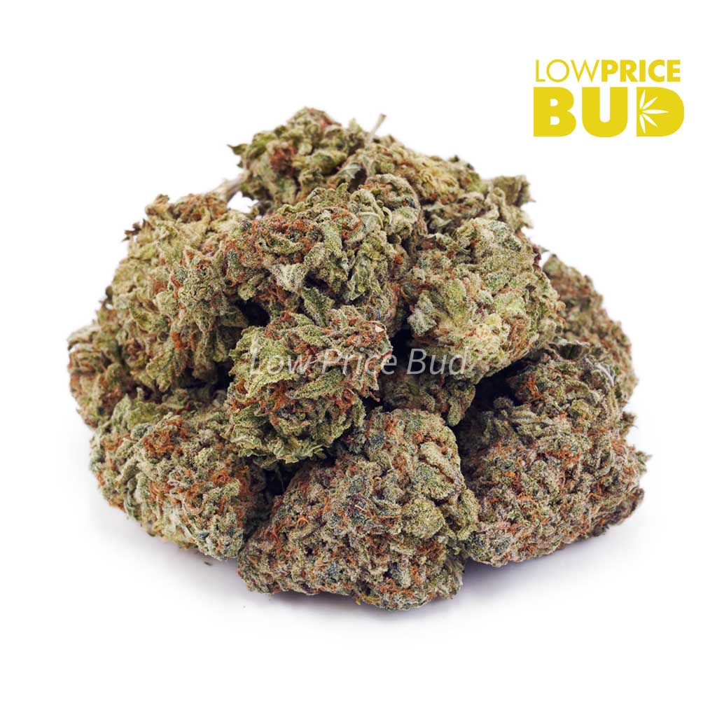Buy Gorilla Breath (AAAA) online Canada