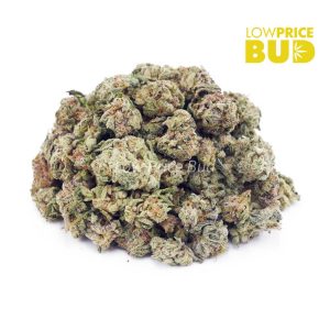 Buy Dolato (AAAA) – Popcorn Nugs online Canada