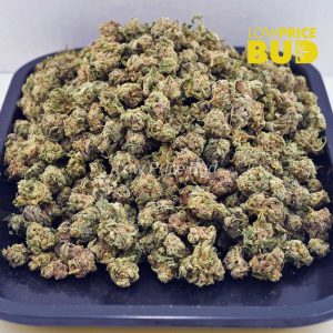 Buy Dolato (AAAA) – Popcorn Nugs online Canada