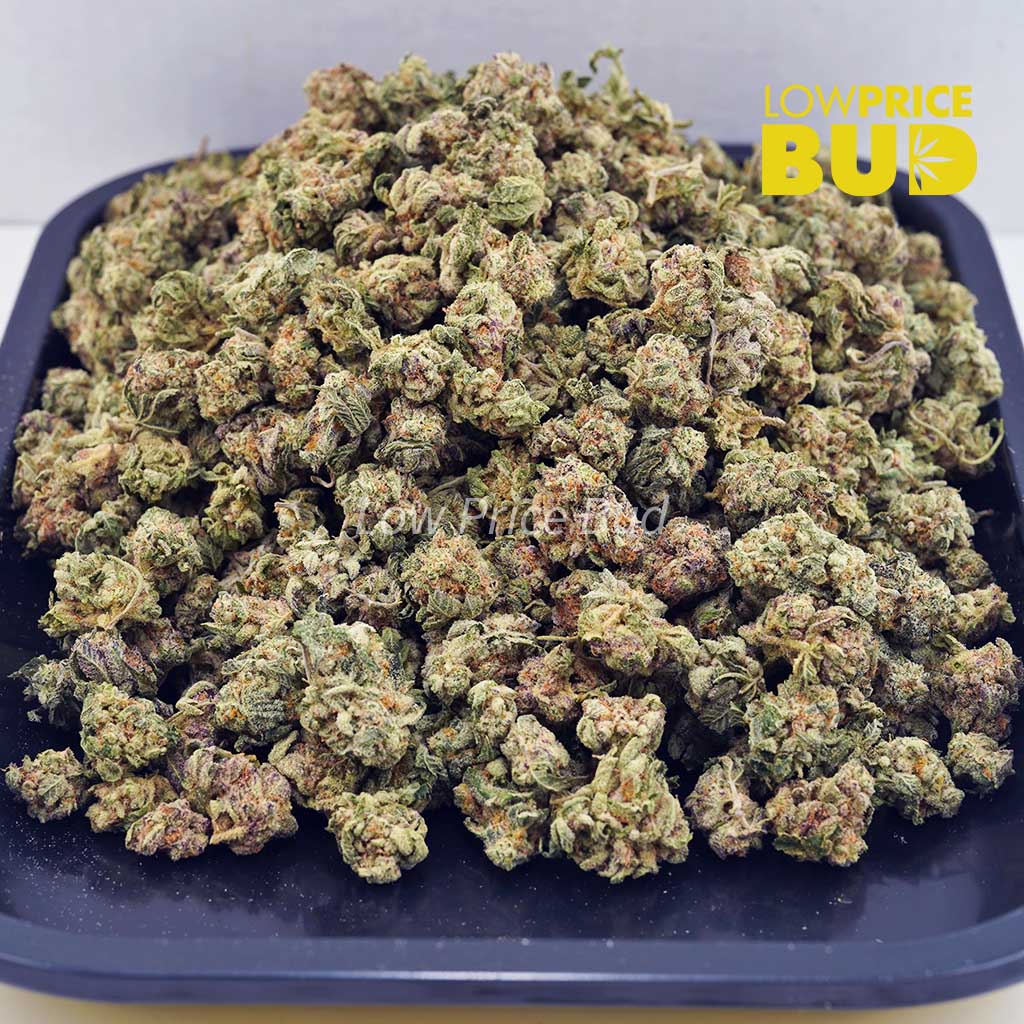 Buy Dolato (AAAA) – Popcorn Nugs online Canada