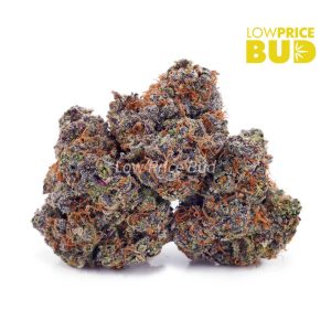 Buy Griselda Blanco (AAAA) online Canada