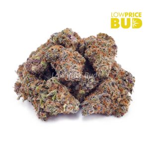 Buy Griselda Blanco (AAAA) online Canada
