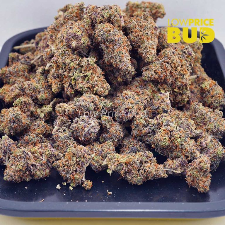 Griselda Blanco (AAAA) - Low Price Bud