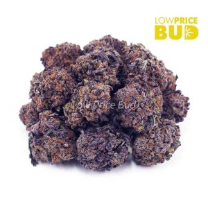Buy Grape Kush (AAA) online Canada