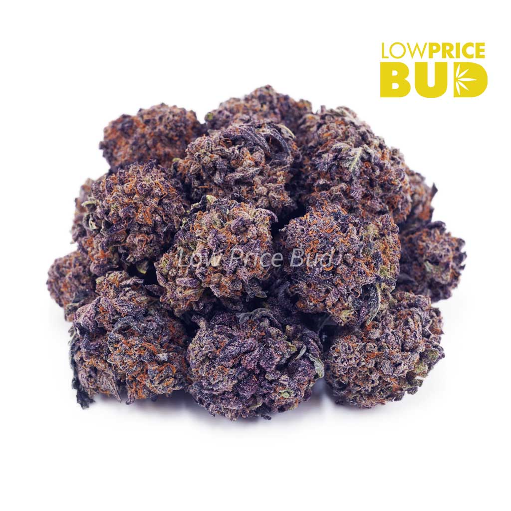 Buy Grape Kush (AAA) online Canada