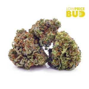 Buy Build Your Own Oz 8 x 3.5g online Canada