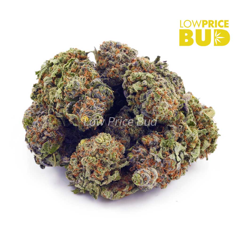 Buy Comatose OG (AAA) online Canada