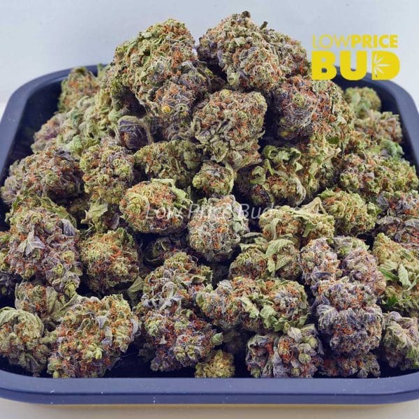 Buy Comatose OG (AAA) online Canada