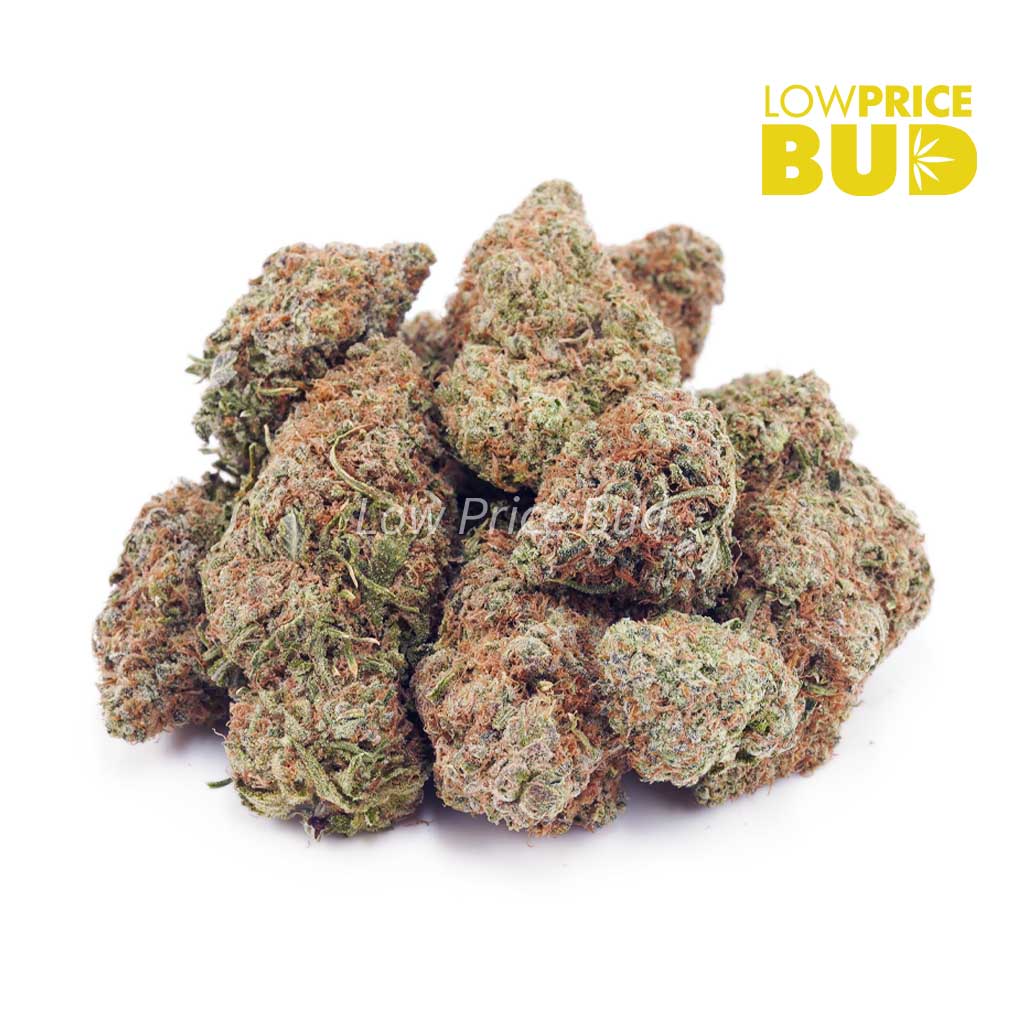 Buy Biscotti (AAA) online Canada