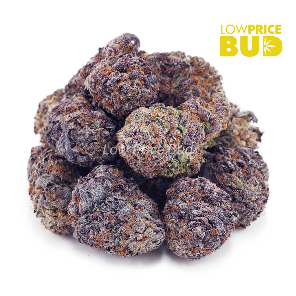 Buy Animal Sherbet (AAAA) online Canada