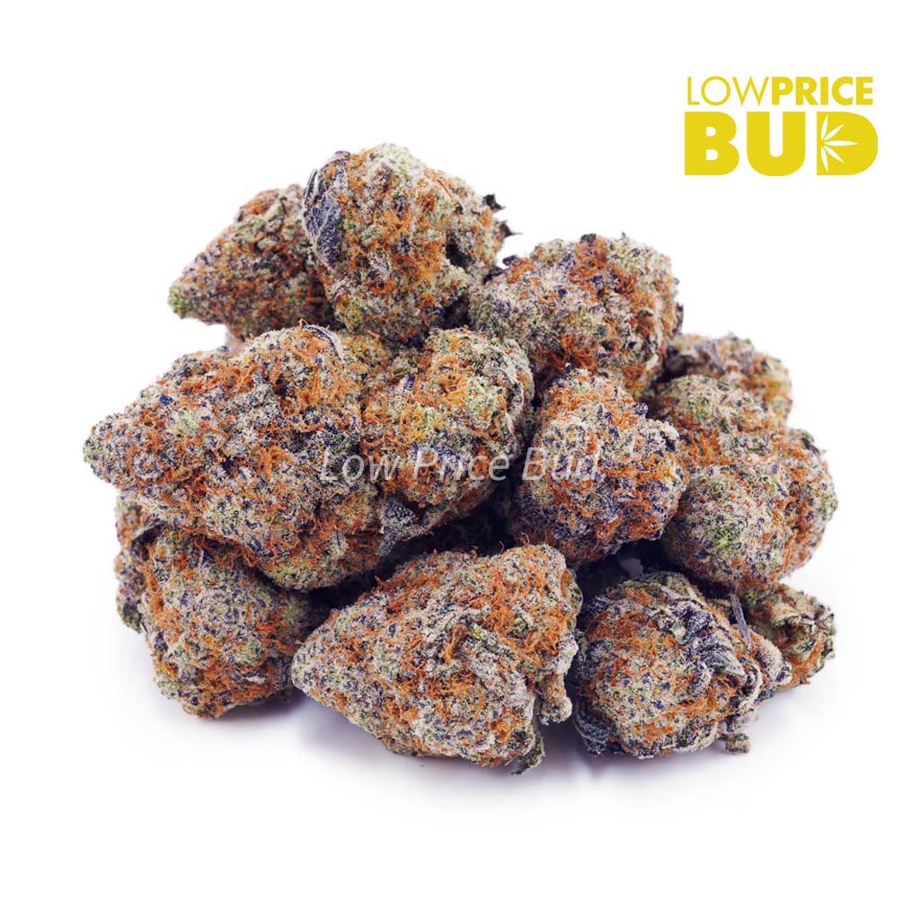Buy GMO Cookies (AAAA) online Canada