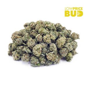 Buy White Fire OG (AAAA) – Popcorn Nugs online Canada