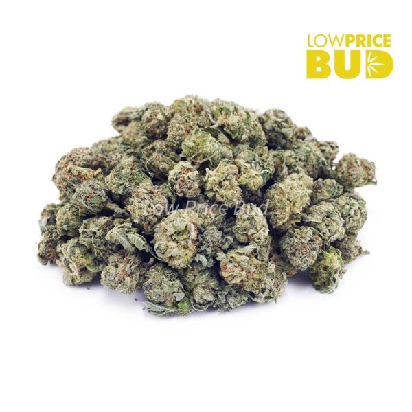Buy White Fire OG (AAAA) – Popcorn Nugs online Canada