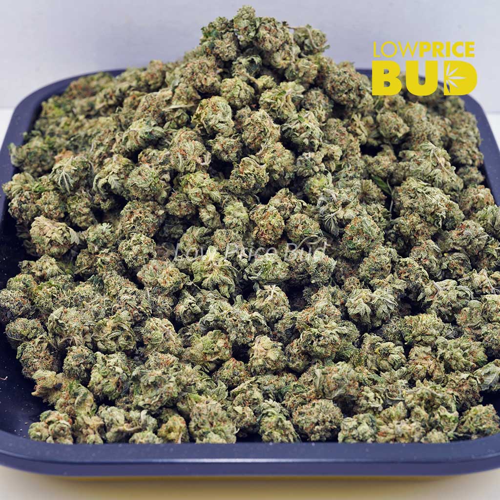 Buy White Fire OG (AAAA) – Popcorn Nugs online Canada