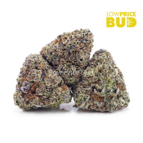 Buy Gorilla Glue #4 (AAA) online Canada