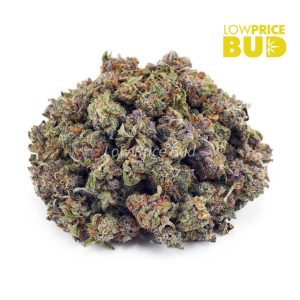 Buy Thin Mintz (AAAA) – Popcorn Nugs online Canada