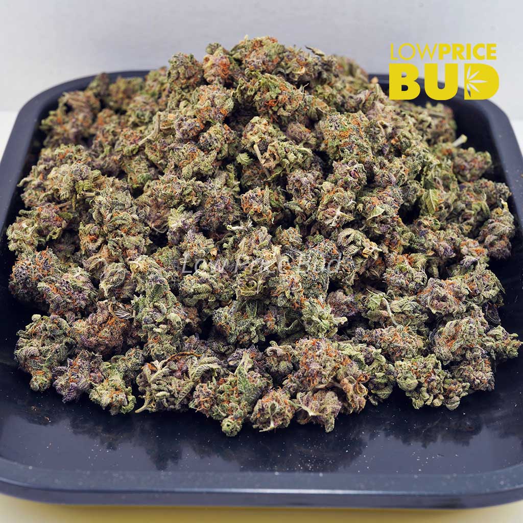 Buy Thin Mintz (AAAA) – Popcorn Nugs online Canada