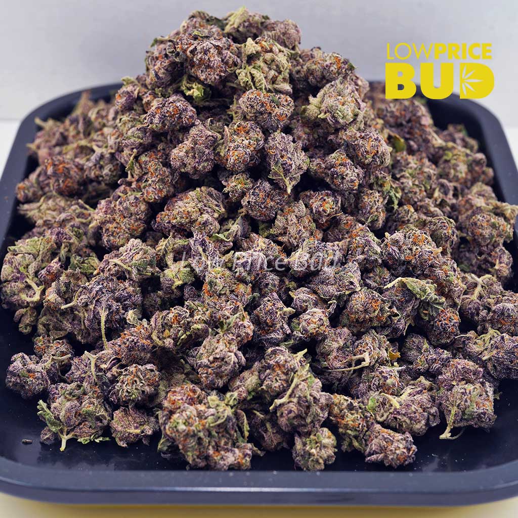 Buy Vanilla Ice (AAAA) – Popcorn Nugs online Canada