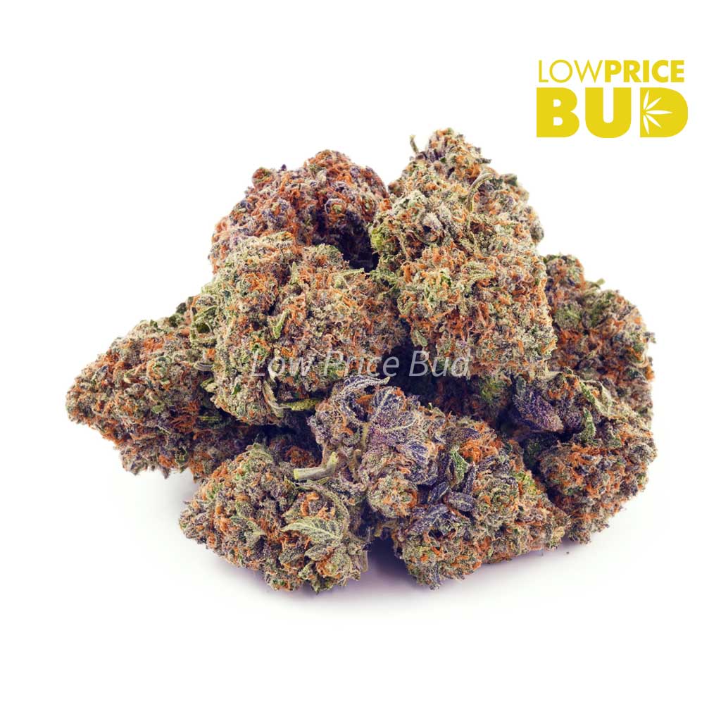 Buy Afghan Kush (AA) online Canada