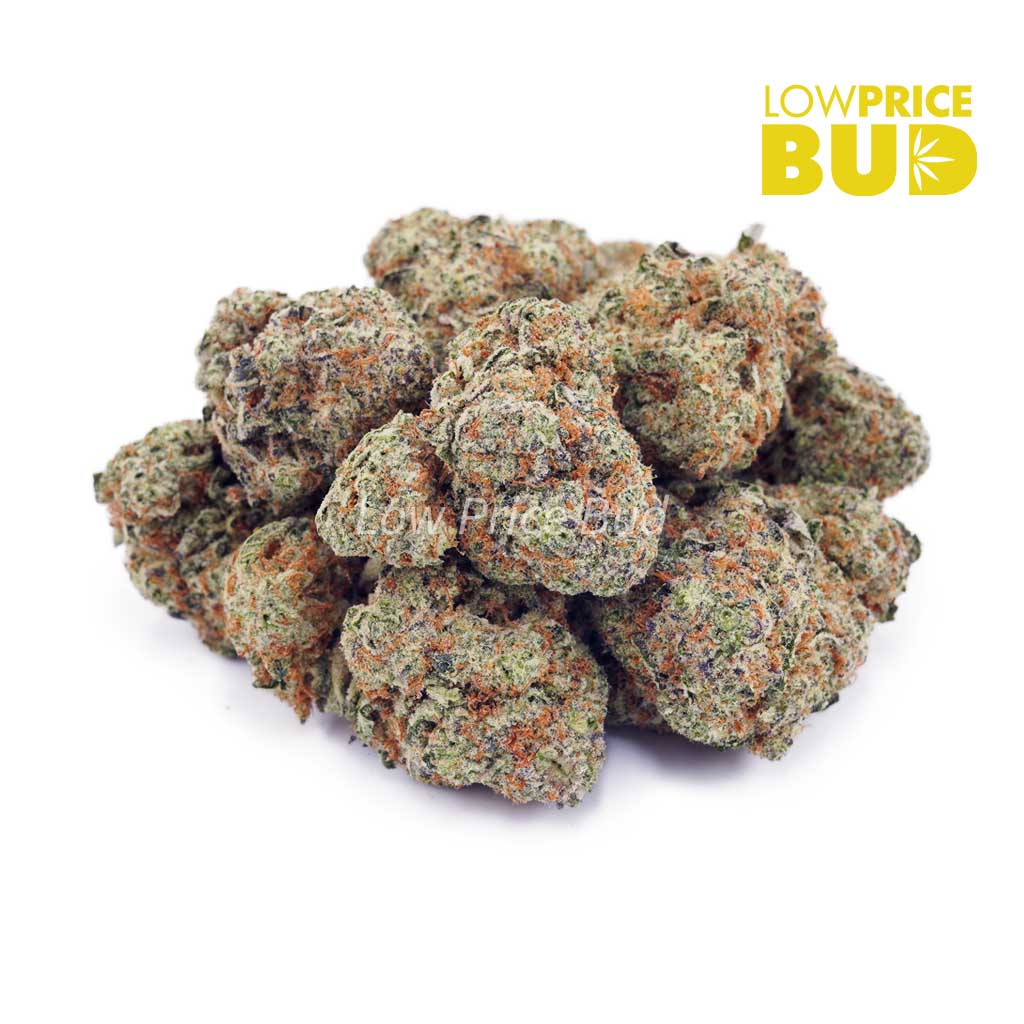 Buy King Kong (AAAA) online Canada