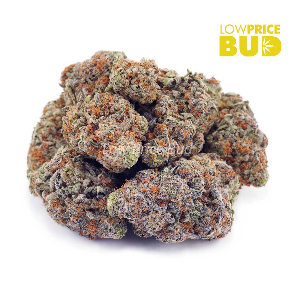 Buy Kush Berry (AAA) online Canada