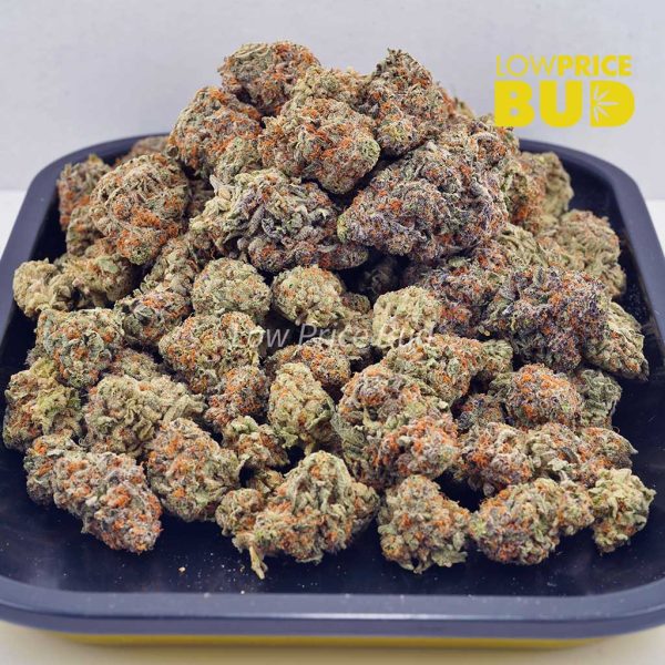 Buy Kush Berry (AAA) online Canada