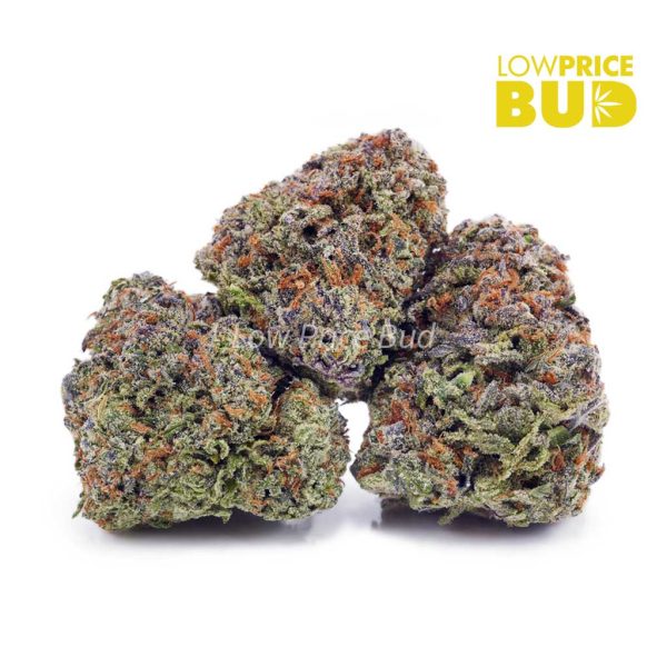 Buy Green Goblin (AA) online Canada