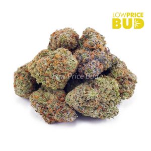 Buy Ice Cream Cookies (AA) online Canada