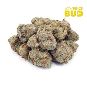 Buy Strawberry Shortcake (AAA) online Canada