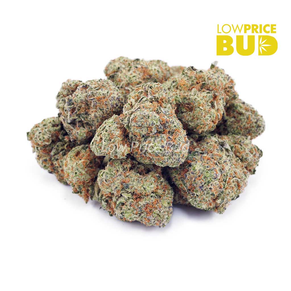 Buy Strawberry Shortcake (AAA) online Canada