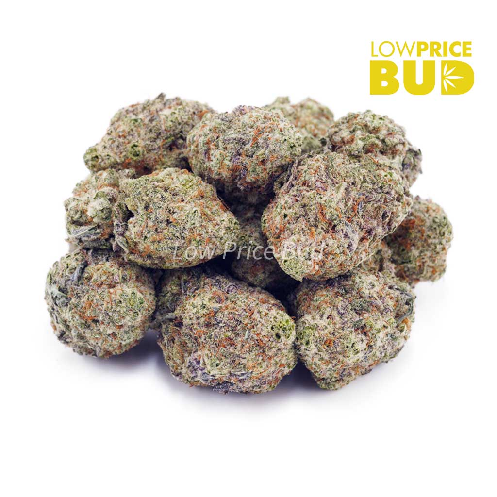 Buy Pineapple Jack Herer (AA) online Canada